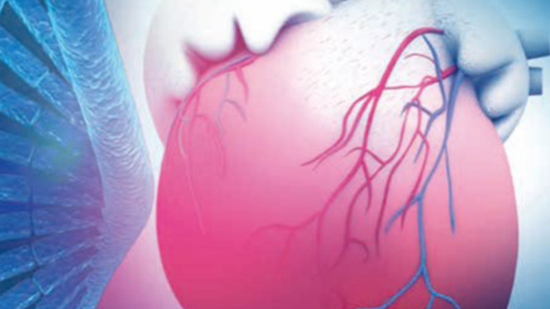 Gene und  Herz – Klinischer Nutzen der Kardiogenetik